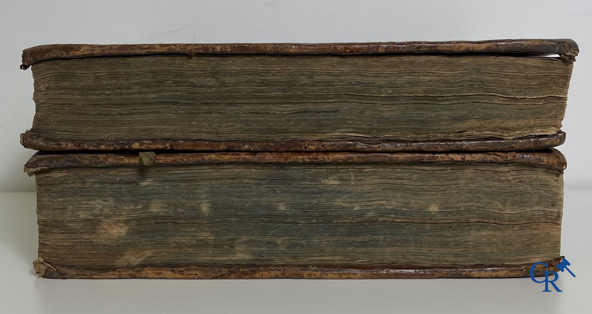 Oude boekdrukken: Willem Hessels van Est (1542-1613) De brieven van Paulus. Tomus prior en tomus posterior. Douai 1614.